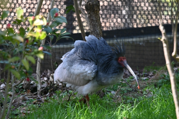DSC_0565